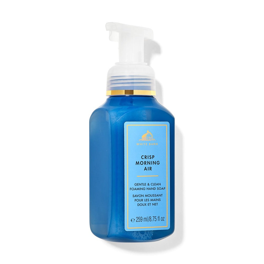 Bath & Body Works - Foaming Soap - Crisp Morning Air 259ml — image 1 — Meeshop Pakistan