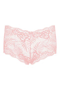 BLS - Liza Lace Boyshort - Salmon